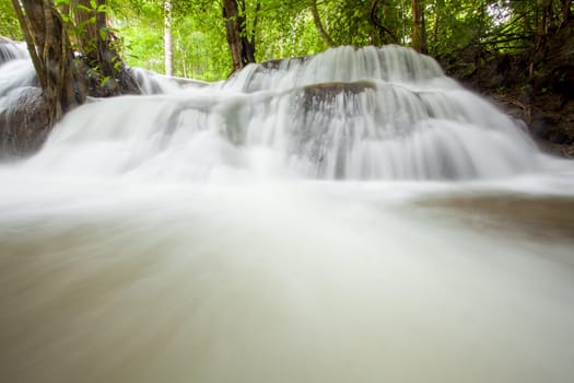 Tropical Rain forest waterfall flowing