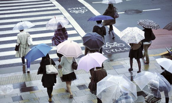 people under umbrellas on zebra crossing in Tokyo