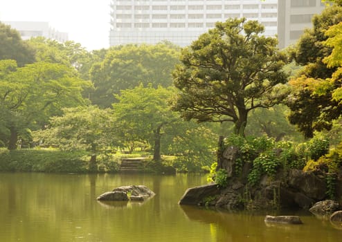 famous Tokyo park Korakuen in hot bright summer day