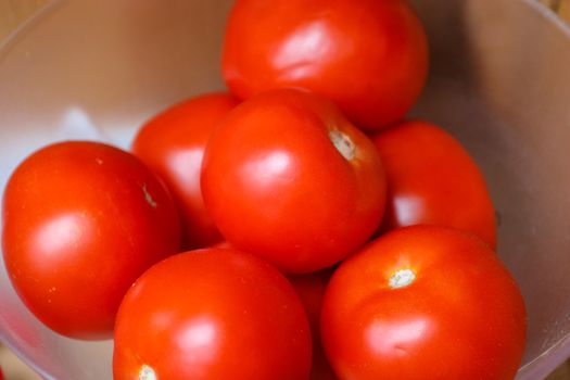 Bowl with of red fresh tomatoes picked in the garden.