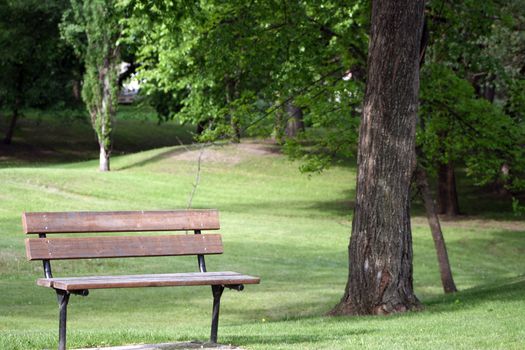 A wood and steel park bench in the shade of an elm tree in a park in spring in Morden, Manitoba, Canada