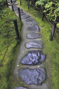 wet stone pathway between wooden fence and mossy forest ground