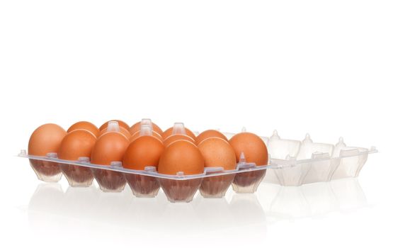 Brown eggs in the plastic box over white background