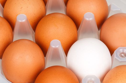 Close-up of brown and white eggs in the plastic box