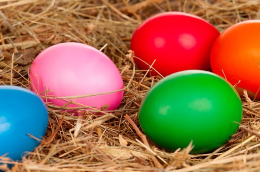 Easter eggs in the natural nest of hay