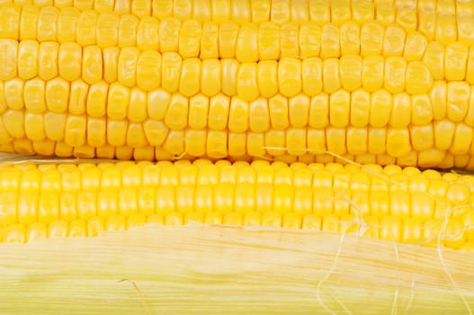 Fresh an ear of corn on a white background