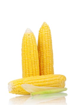 Fresh an ear of corn with green leaves on a white background