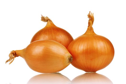 Fresh bulbs of onion not cleared on a white background