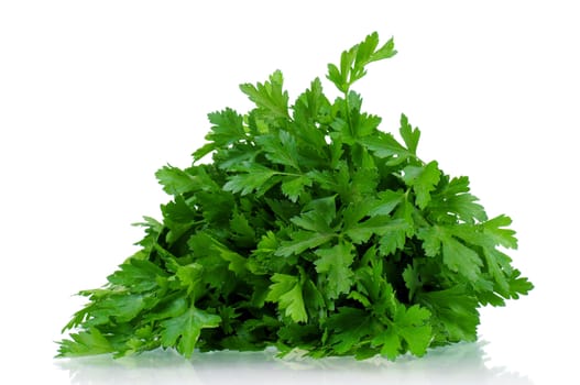 Fresh green leaves of parsley on white background