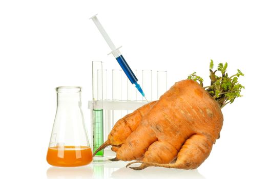 Genetically modified organism - ripe carrot with syringes and laboratory glassware on white background