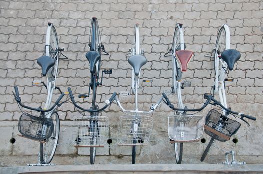 The bicycles in the park.