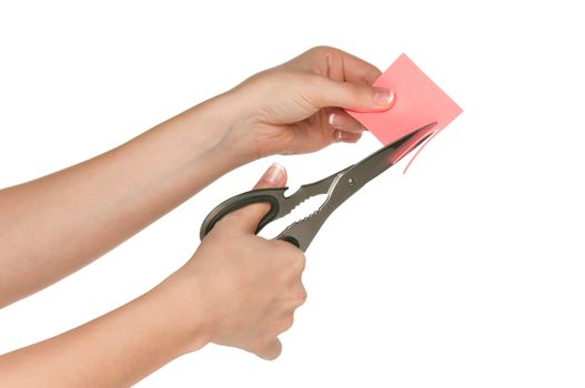 Woman hands with scissors isolated on white background