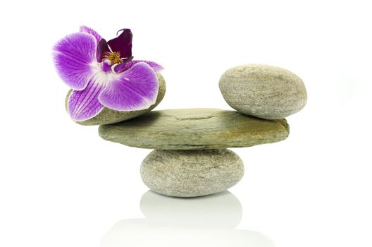 balance rocks with purple orchid flower