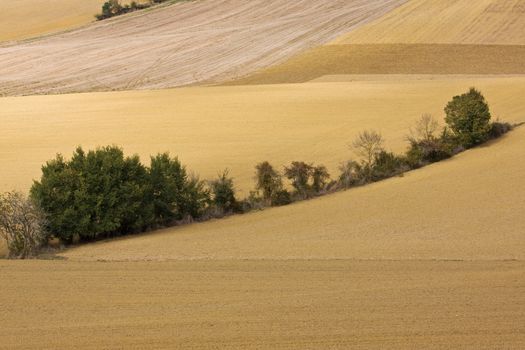 Farmland lying fallow in the fall in SW France