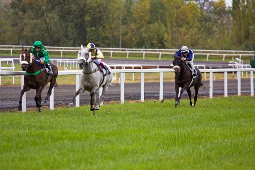 CASTERA-VERDUZAN, FRANCE - OCTOBER 4: The leaders sprint up the home straight in a race at the Baron hippodrome Castera Verduzan, France on October 4, 2010