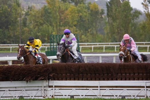 CASTERA-VERDUZAN, FRANCE - OCTOBER 4: The field tackle a hurdle in a race at the Baron hippodrome Castera Verduzan, France on October 4, 2010