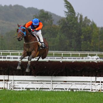 CASTERA-VERDUZAN, FRANCE - OCTOBER 4: Horse and jockey tackle a fence in a race at the Baron hippodrome Castera Verduzan, France on October 4, 2010