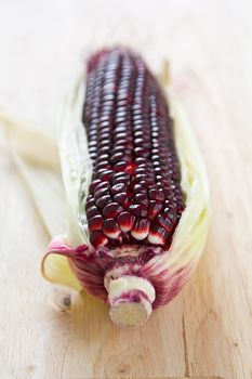 Fresh uncooked purple corn
