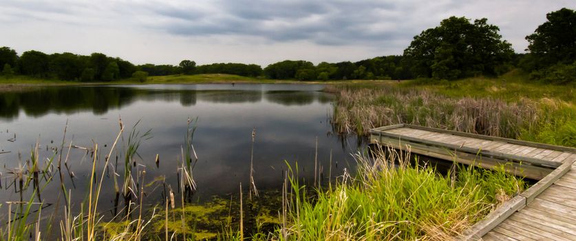 Natural Wetlands at Sibley State Park, Minnesota.