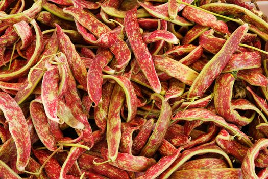 Big pile of Cranberry Beans at the farmers market