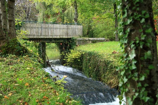 bridge in forest photographed close in autumn