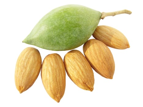 Image of raw green almond with alomnd nuts