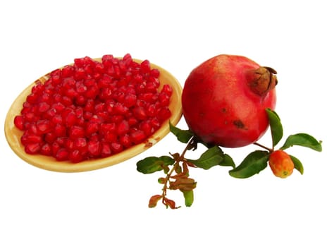 pomegranate (Punica granatum) fruit with leaves and a bud