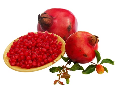 pomegranate (Punica granatum) fruit with leaves and a bud