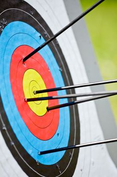 Archery target with arrow in the bullseye