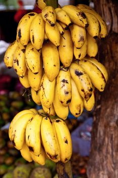 Bunch of ripe yellow bananas for sale in Sri Lanka