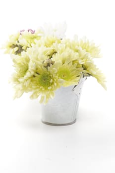 Three Tin Buckets with Yellow Chrysanthemum isolated on white background