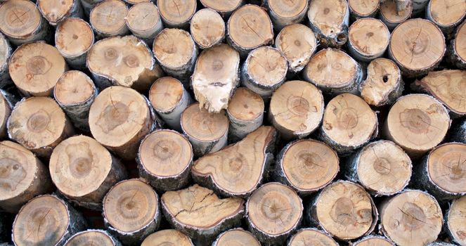 Background of Neatly Stacked Firewood closeup outdoors