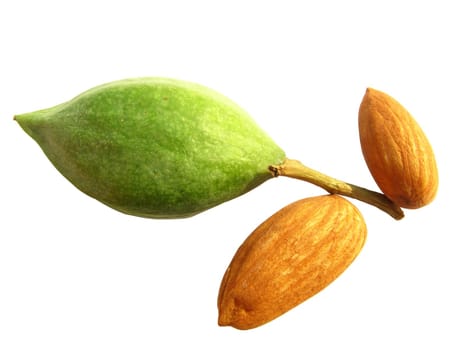 decorative arrangements of almond nuts with one raw green almond in middle 