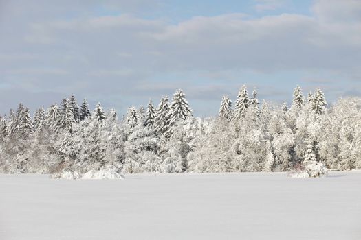 Beautiful winter landscape in the forest outside