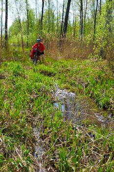 Traveling cyclist crossing flooded forest