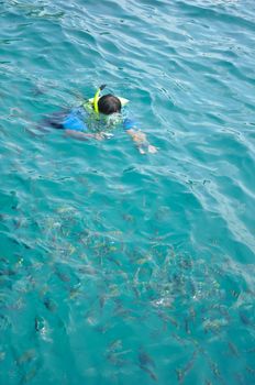 Active traveler diving snorkeling take photo in clean ocean on summer vacation at Chang island, Thailand