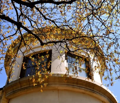 Georgetown Texas architecture and tree