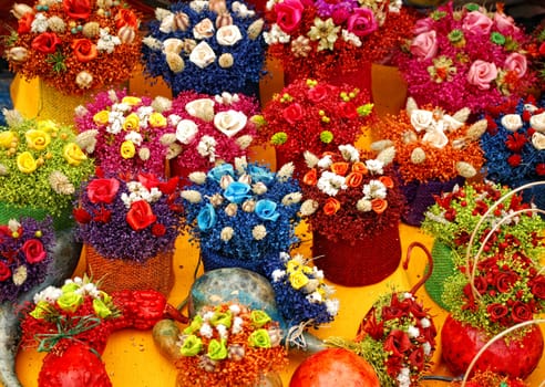 Nature scene colorful dry flower