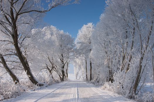 The empty road in winter