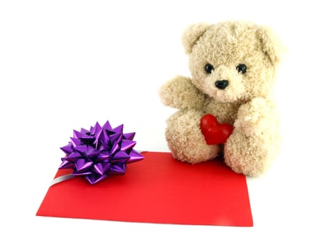 teddy bear toy with a gift card, isolated on white background
