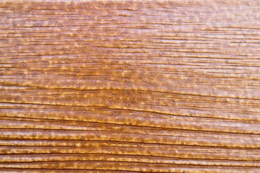 wood grain texture background