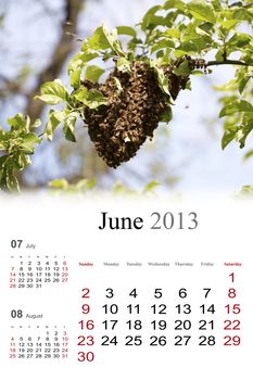 2013 Calendar. June