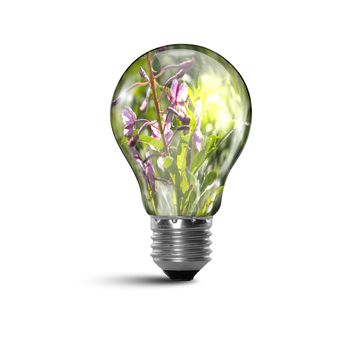 Illustration of an electric light bulb with clean and safe nature inside it Conceptual illustration