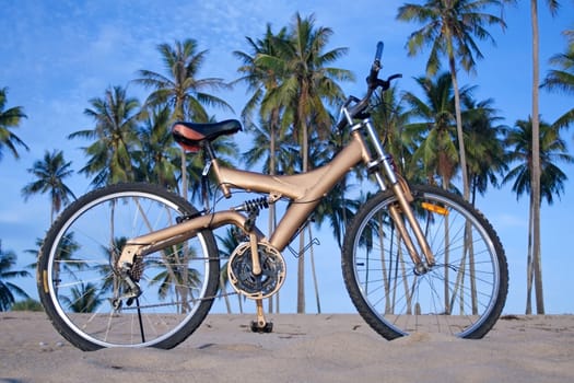 Bicycle at beach