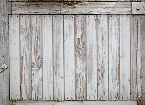 Grey wooden wall vintage background.