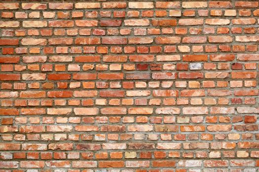 Brown brick background.