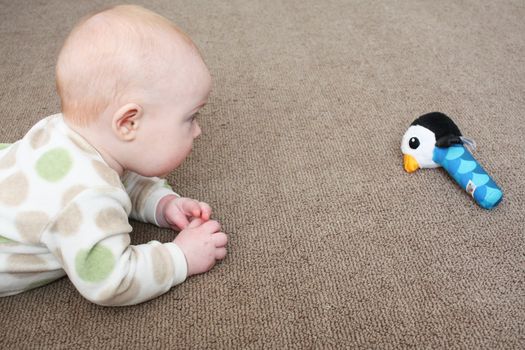 A baby playing on a brown carpeted floor with a penguin-shaped toy.







Tummy Time I