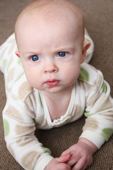 A close-up image of a baby playing on a brown carpet.