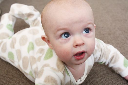 A close-up image of a baby playing on a brown carpet.