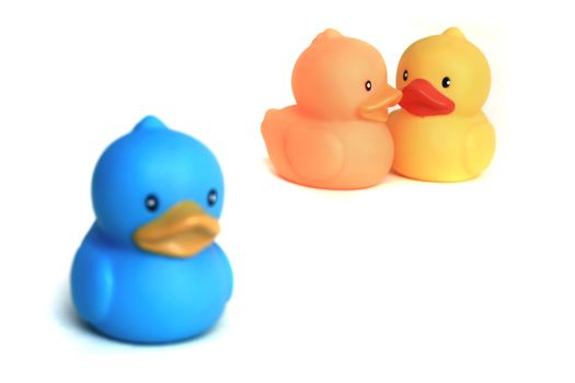 Duck toy